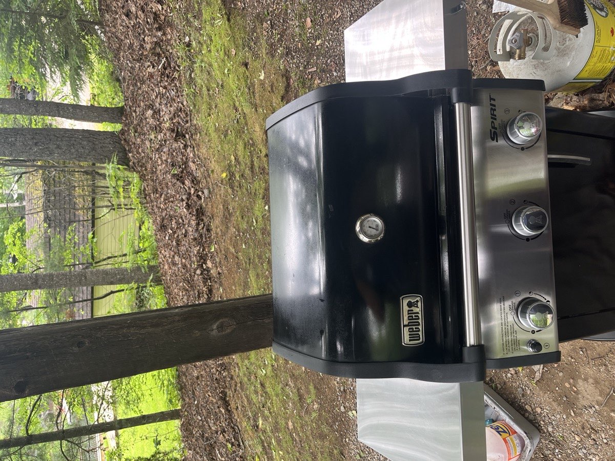 Grill after professional cleaning