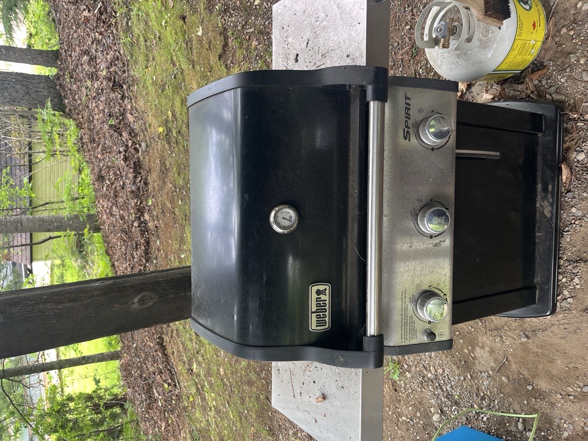 Grill before cleaning